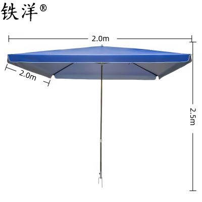 铁洋 宝蓝四方户外遮阳雨棚 钢叉款2.0m*2.0m 把