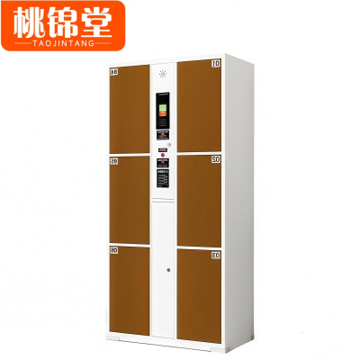 桃锦堂存包柜