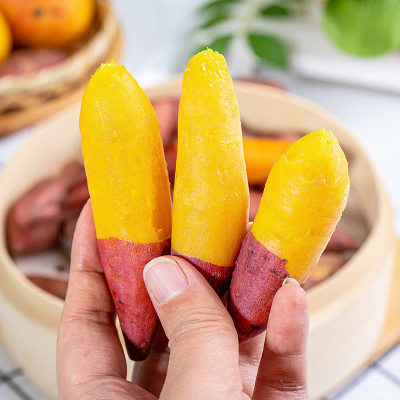 [西沛生鲜]海南金手指地瓜 净重2.5斤 单个30-70g 新鲜沙地红薯山芋板栗番薯蔬菜