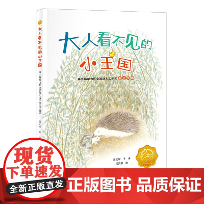大人看不见的小王国:第三届接力杯金波幼儿文学奖美文悦读