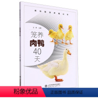 [正版]书笼养肉鸭40天9787572316661 王胜山东科学技术出版社书籍