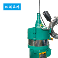 铁越长鸿 潜水泵 QD10-50/4-3 台