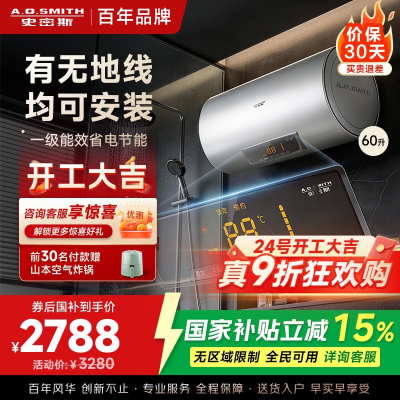 AO史密斯60升电热水器 无地线可安装 专利安全隔电 金圭内胆 速热节能 一键中温保温SCE-60DX2 预约洗浴