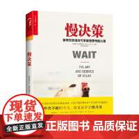 慢决策 弗兰克·帕特诺伊等 著 管理