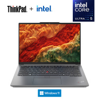 ThinkPad E14 19CD AI经典商务本 14英寸笔记本电脑 定制 英特尔酷睿Ultra 5 125H 64G 2T固态 锐炫Arc显卡 2.2K高色域 银