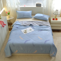 缎暮 全棉抗菌防螨夏被 150*200CM 条