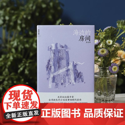 海边的房间 黄丽群 河南文艺出版社 正版书籍台湾新生代小说家黄丽群代表作简体出版荣获台湾多项文学大奖两岸跨世代文学家盛赞