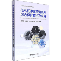醉染图书低孔低渗储层测录井综合评价技术及应用9787562550549