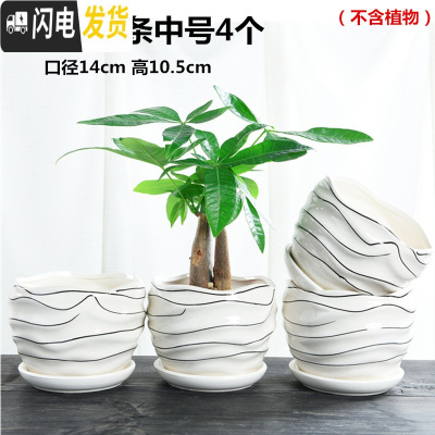 三维工匠花盆陶瓷带托盘肉肉家用创意个性简约大号绿萝小多肉花盆 艺术线条中号4个带托盘 小花盆容器