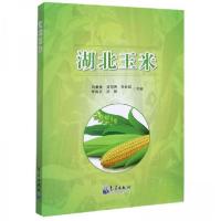 正版新书]湖北玉米田甫焕、羿国香、杜世凯、常海滨、周刚 编97