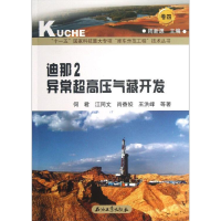正版新书]迪那2异常超高压气藏开发-卷四何君9787502192884
