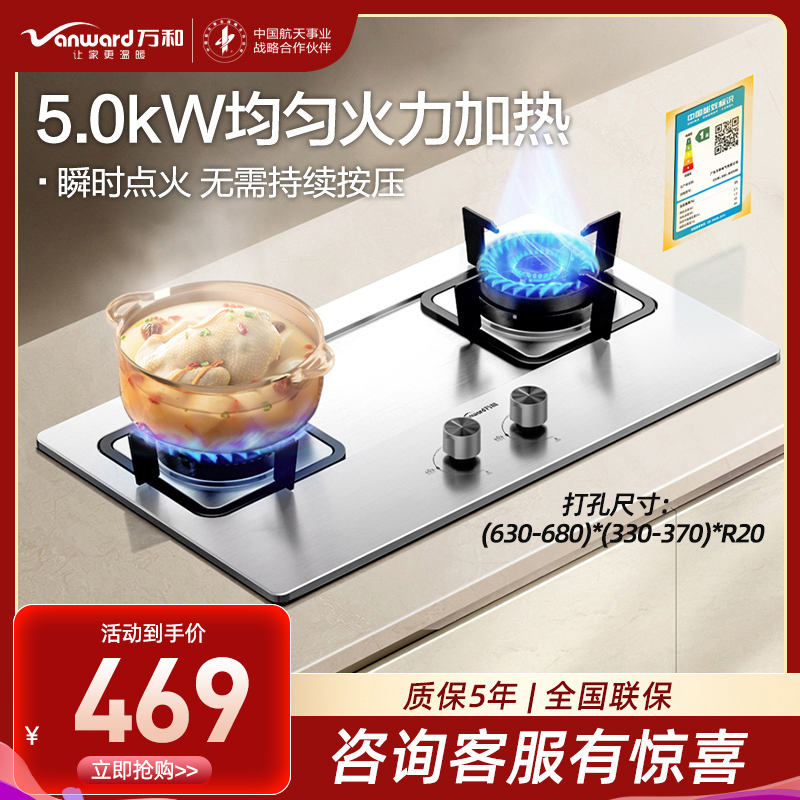 万和(Vanward)[小灶君]B6天然气燃气灶具钢化玻璃煤气炉双灶嵌入式5kW家用猛火一级能效家电 B6B60