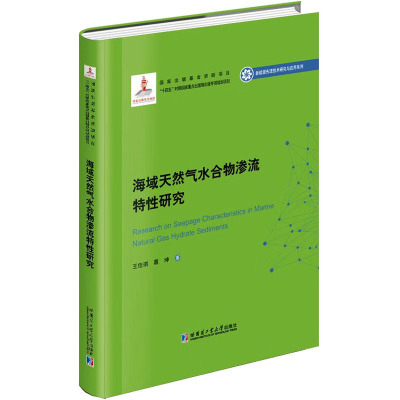海域天然气水合物渗流特性研究
