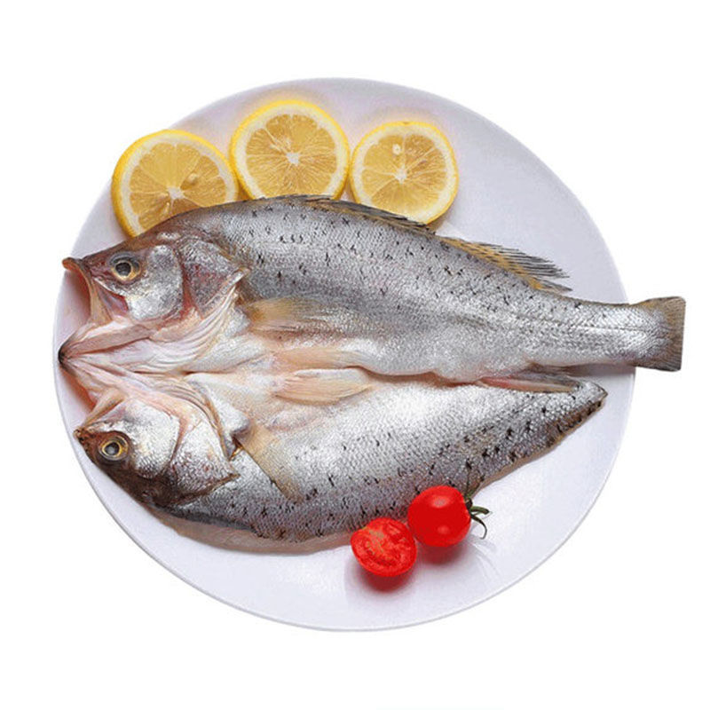 三去海鲈鱼鲜活冷冻大鲈鱼开背白蕉海鲜新鲜水产400g±50g顺丰 特大