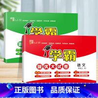 [江苏专用]语文+数学(苏教版) 二年级上 [正版]2023秋新小学学霸提优大试卷一年级二年级三四五六年级下册上册语文人
