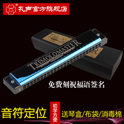 口琴24孔孔声复音C调初学者教学练习口琴成人儿童学生入门琴易学