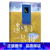 [正版]遗失了一只猫