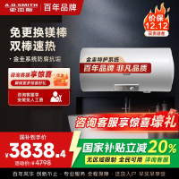 AO史密斯100升电热水器金圭内胆免更换镁棒E100MDG