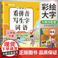 汉之简看拼音写词语二年级上册下册部编人教版小学语文专项练习册同步训练生字组词注音词语描红本拼读训练写词语拼音专项天天练