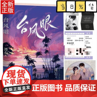 台风眼(赠电影票+印签折页明信片+徽章)《纸飞机》《追尾》作者潭石口碑代表作