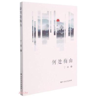 正版新书]何处梅山丁斌著9787531751458