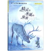 正版新书]精灵与圣诞的秘密(芬)诺拉·苏若杰金(Nora Surojegin)