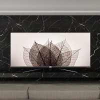 TCL 官方旗舰 55Q2 (55英寸)吋 超薄无边框全面屏 34核人工智能 HDR4K超高清液晶电视机