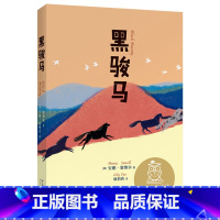 [正版]黑骏马 安娜·塞维尔 中文分级阅读四年级 课外读物 9-10岁适读 儿童文学 果麦出品
