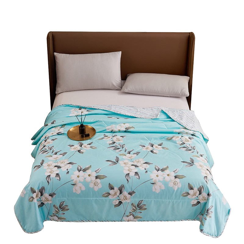 艾逸瑶选 圣安娜夏被150*200cm JF-24107