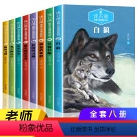 [正版]沈石溪动物小说全集全套8册 沈石溪的书全系列 小学生初中生四五六七年级课外阅读书籍儿童故事6-12周岁必读读物