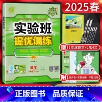 数学 八年级下 [正版]江苏版2025春实验班提优训练八年级下册数学苏科版SK 8年级八下苏教版同步课时作业本强化训练尖