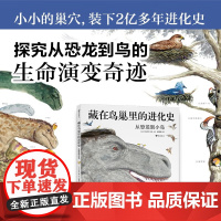 藏在鸟巢里的进化史 从恐龙到小鸟 7~10岁 铃木守 著 科普