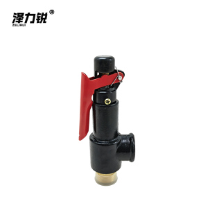 泽力锐 安全阀 A28X-16T DN15 1.0-1.6MPa 个