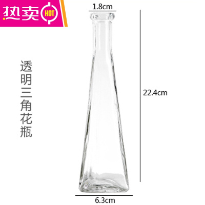 透明玻璃花瓶水培植物容器皿绿萝水养小瓶子干花插花摆件装饰花盆FENGHOU三角瓶（送麻绳）中等