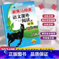 [单元检测]语文课外阅读A版 小学二年级 [正版]2024新版新黑马阅读语文课外阅读训练A版通用版小学二年级全一册2年级