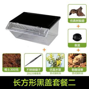 小号饲养箱塑料透明 蝎子守宫蜥蜴养殖箱 陆龟昆虫鸣虫饲养盒