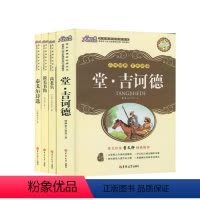 [正版]大悦读丛书4本套装 堂吉诃德 泰戈尔诗选 高老头 谈美书简 提升学生赏析能力中小学生课内课外阅读书目 吉林