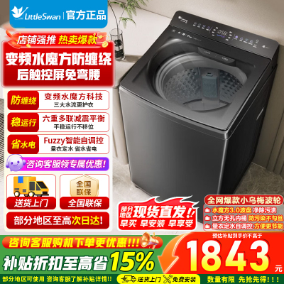 小天鹅小乌梅轻奢版波轮洗衣机全自动家用 10公斤变频电机水魔方防缠绕纳米银离子除菌TB10VE20D