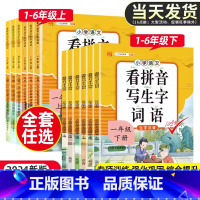 [4本]看拼音写生字词语+生字组词+阅读理解+句子训练 二年级下 [正版]2024版看拼音写词语生字小学一年级二年级三四