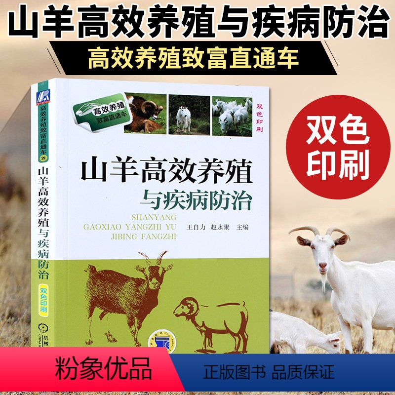 [正版]山羊高效养殖与疾病防治 养羊技术大全书籍 羊病全书技术书 兽医实用手册预防诊断科学生态饲养技术波尔山羊牛羊病基
