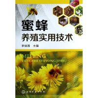 音像蜜蜂养殖实用技术李继莲