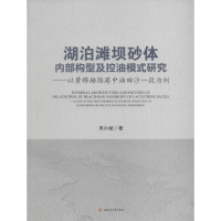 醉染图书湖泊滩坝砂体内部构型及控油模式研究9787564351298