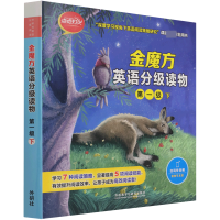音像金魔方英语分级读物(级下)(点点灯火)(外研社英语分级阅读)