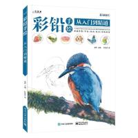 正版新书]彩铅手绘从入门到精通何海洋 著,成辉 编978712140542