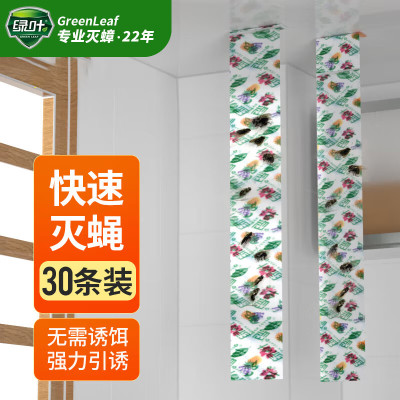 绿叶 粘蝇条粘苍蝇彩带 粘飞虫挂条30条装 JD3001 70CM