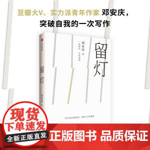 留灯 邓安庆 著 中国现当代文学 生活的苦味 我从小便尝到了 青年作家邓安庆突破自我的写作 中信出版社