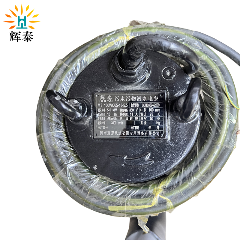 辉泰 黑色污水泵 100WQ65-18-5.5 台