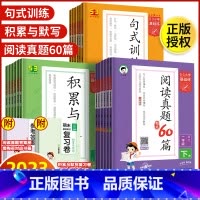 [套装3本]60篇+句式+积累与默写 五年级上 [正版]2023秋版53基础练五三小学一二三四五六年级上下册语文专项阅读
