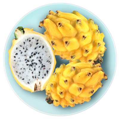 黄麒麟火龙果价格 黄麒麟火龙果最新报价 黄麒麟火龙果多少钱 苏宁易购