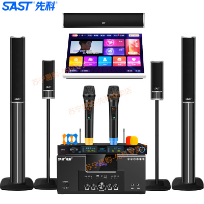 先科(SAST)A18家庭影院套装2 5.1家庭影院音响套装家用电视客厅壁挂落地音箱 ((点歌机套装500G))